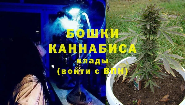 шишки Медногорск