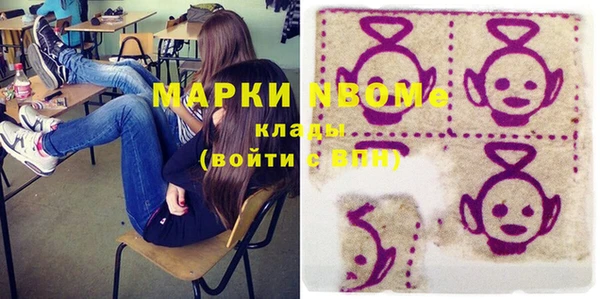 шишки Медногорск