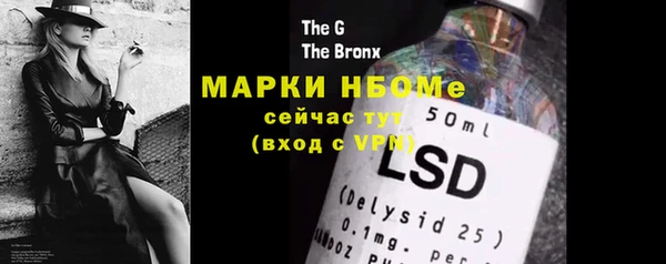 шишки Медногорск