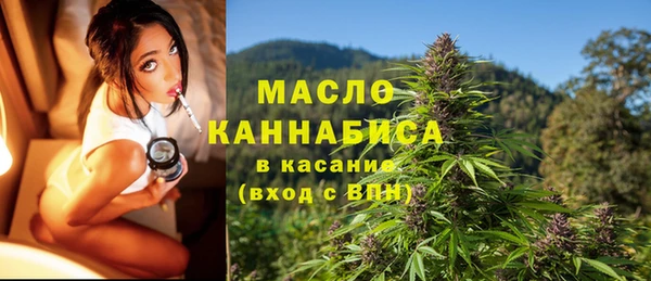 шишки Медногорск