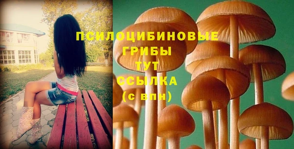 шишки Медногорск