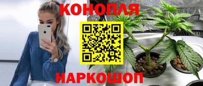 гидропоника Апшеронск