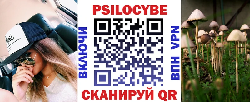 Псилоцибиновые грибы Psilocybine cubensis  Белорецк 