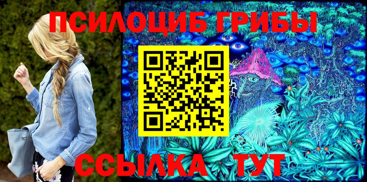Псилоцибиновые грибы Cubensis Белорецк