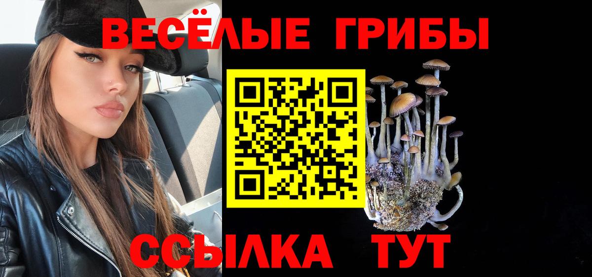 Галлюциногенные грибы прущие грибы  Белорецк 