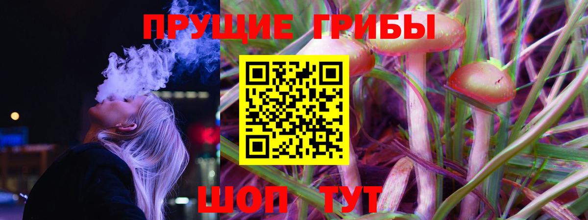 Галлюциногенные грибы Cubensis  Вход с VPN  Белорецк 